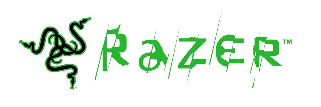 Program stażowy w Razer