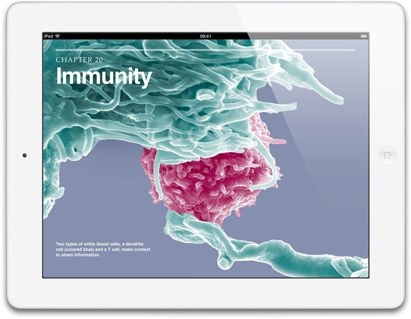 Apple iPad 4 64GB 4G