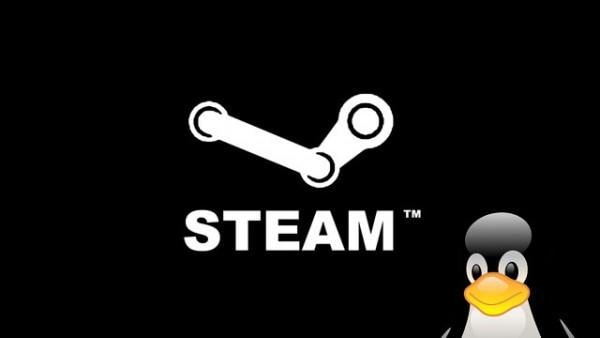 Steam dla Linuxa od przyszłego tygodnia będzie dostępny dla wszystkich.