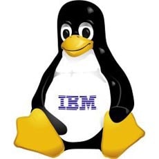 IBM inwestuje miliard dolarów w Linuksa