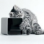 Petcube – pobaw się zdalnie ze swoim zwierzakiem