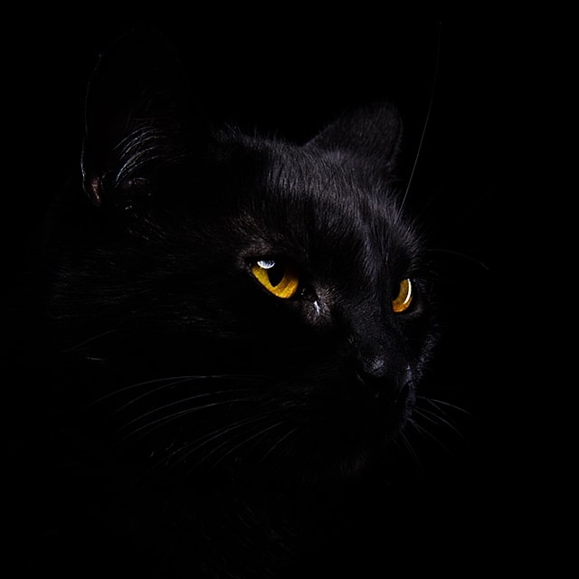 Najciemniejszy materiał świata: czerń tak czarna, że jej nie widać