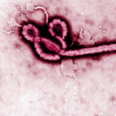 Pomysł na biznes: zarabianie na ludzkim nieszczęściu