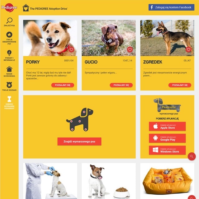 Chcesz adoptować psa?