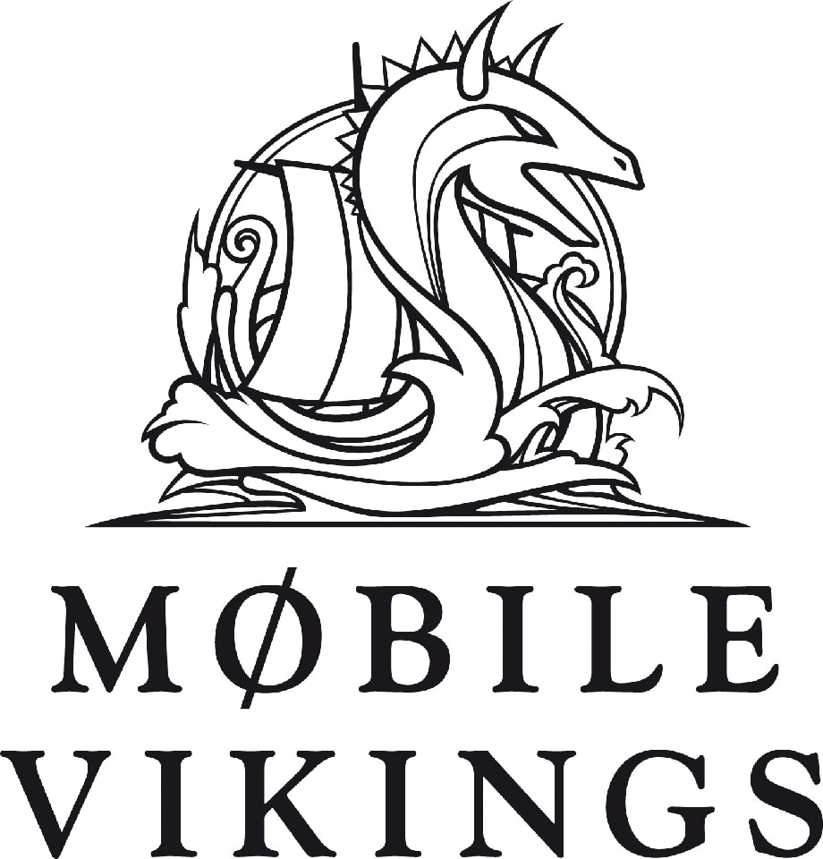 Więcej Internetu u Vikingów