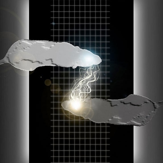 Naukowcy stworzyli komputer ze szczurzych mózgów