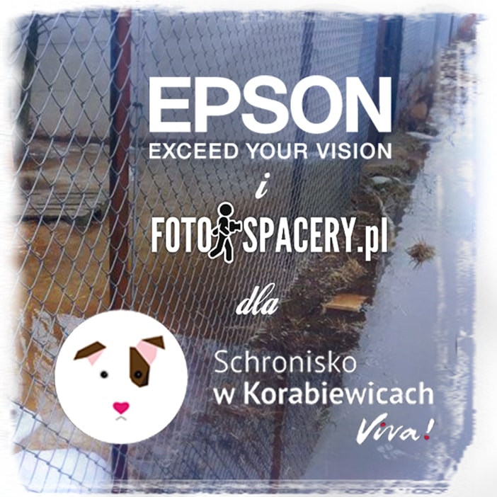 Epson pomaga ratować podtopione schronisko dla zwierząt