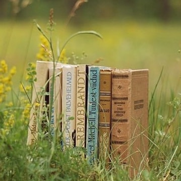 Zamiast Pokemonów łapią na dworze książki