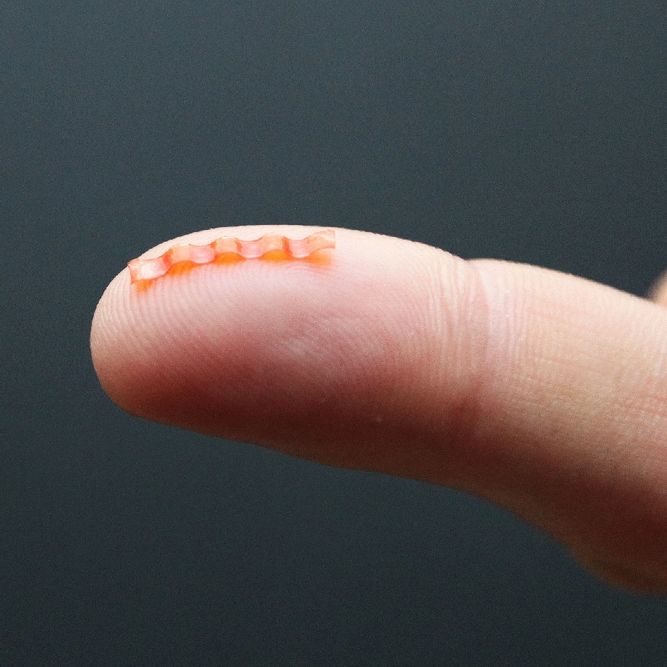 Polscy naukowcy stworzyli niezwykłego robota-gąsienicę