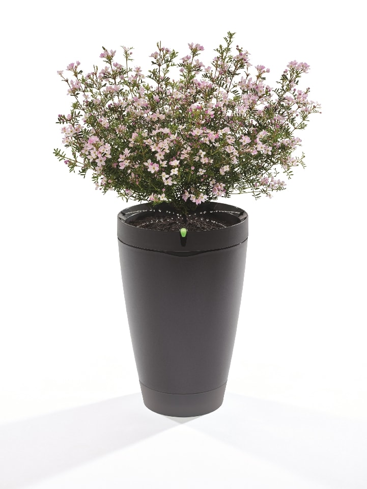 Oto inteligentna… doniczka