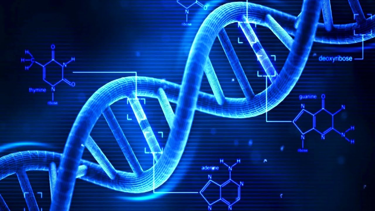 Obrazek GIF zapisany w DNA bakterii