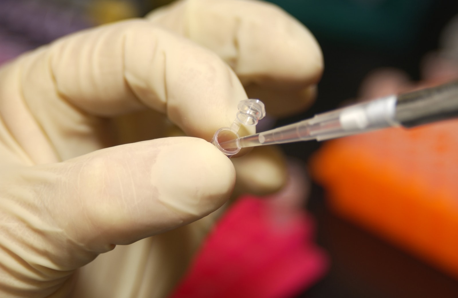 Preparation for DNA  sequencing
