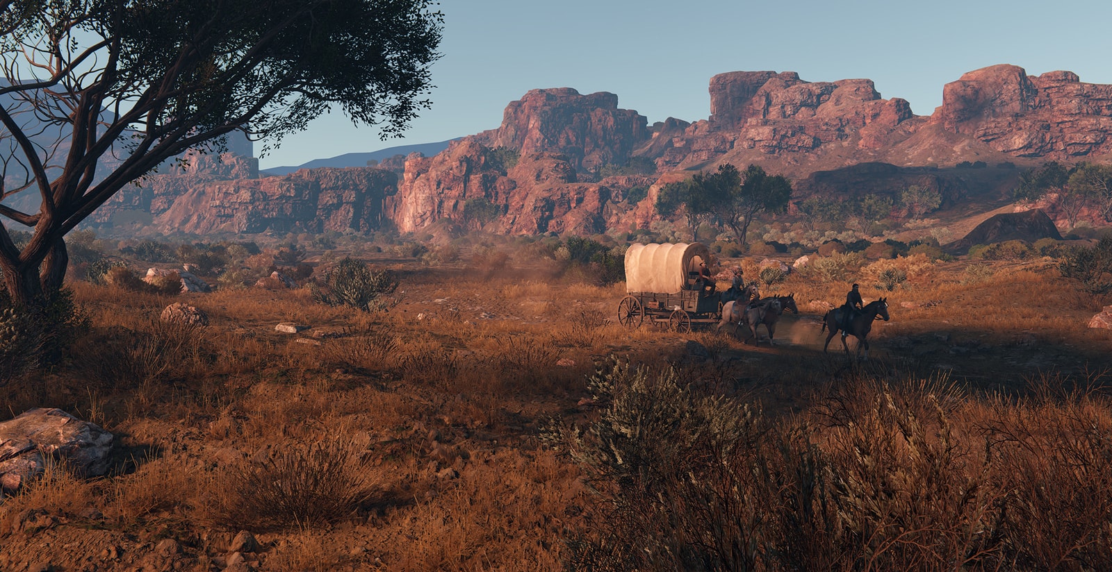 this land is my land