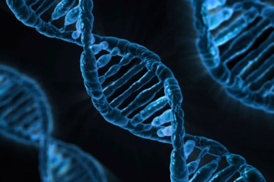Ludzkie DNA