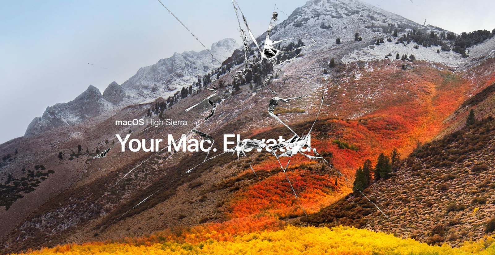 Konto root w macOS-ie High Sierra dostępne bez hasła
