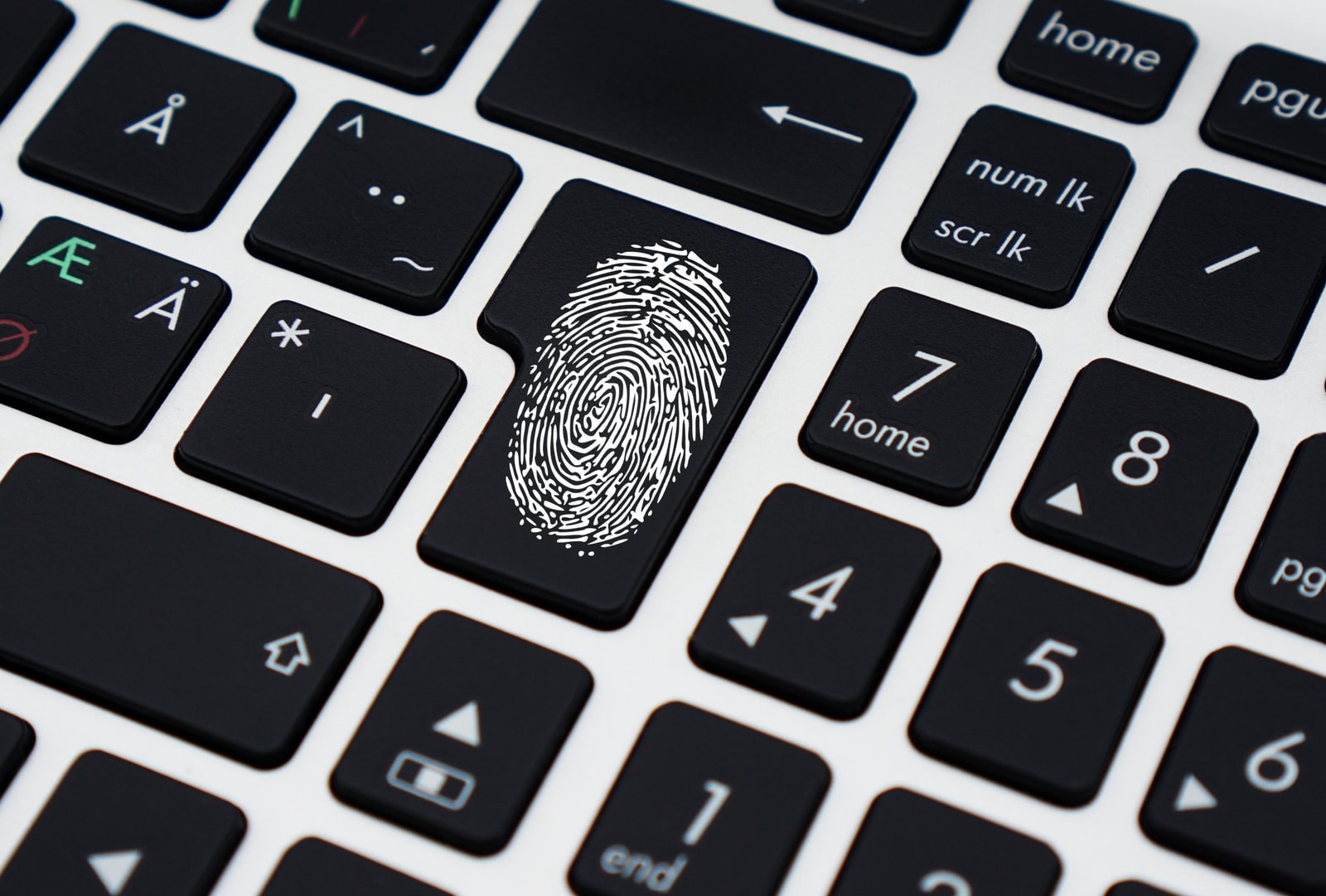 Niedługo zalogujemy się na strony internetowe za pomocą odcisku palca