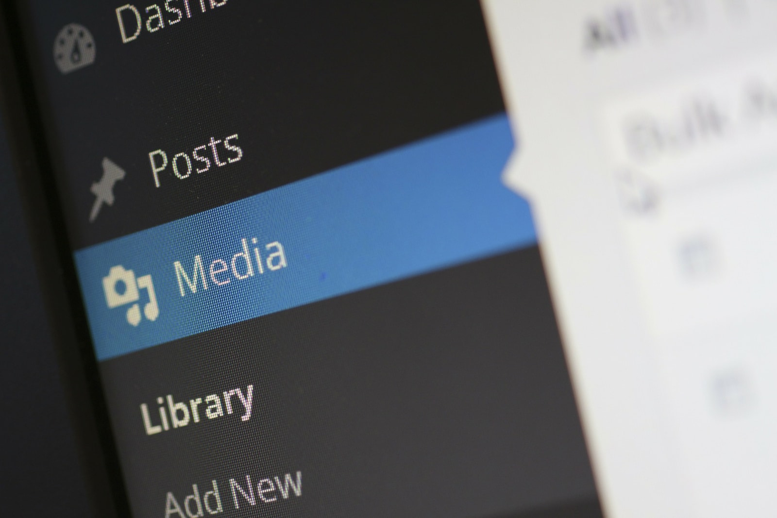 wordpress luka