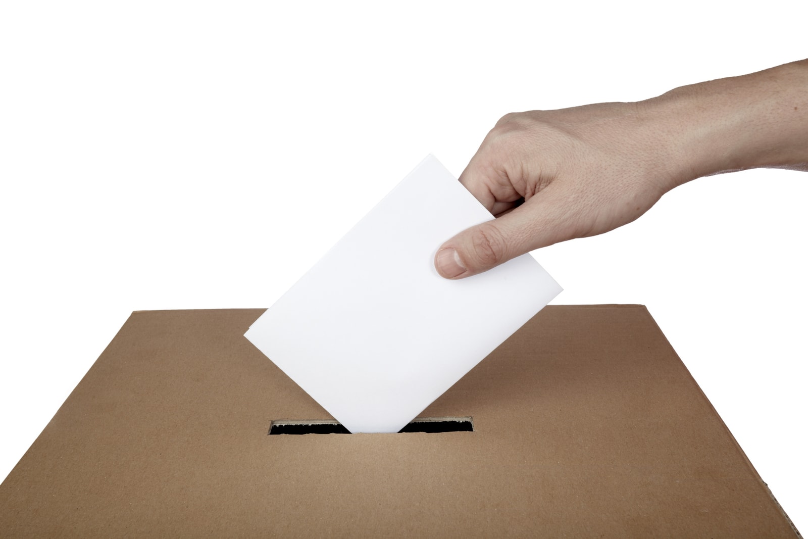 close up of hand and voting ballot

