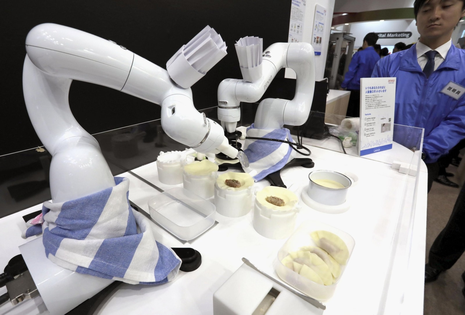 robot pierogi