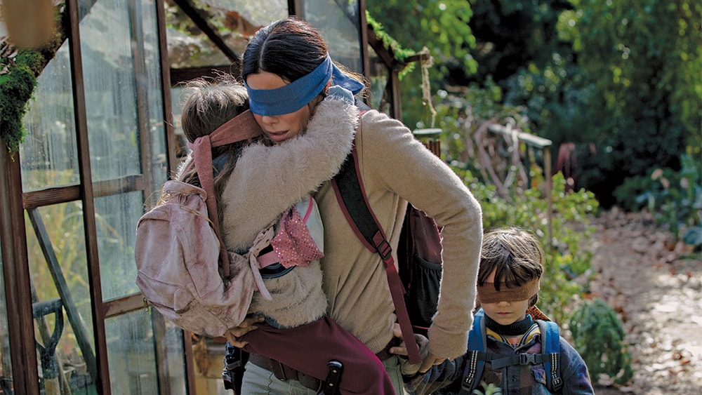 bird box challenge