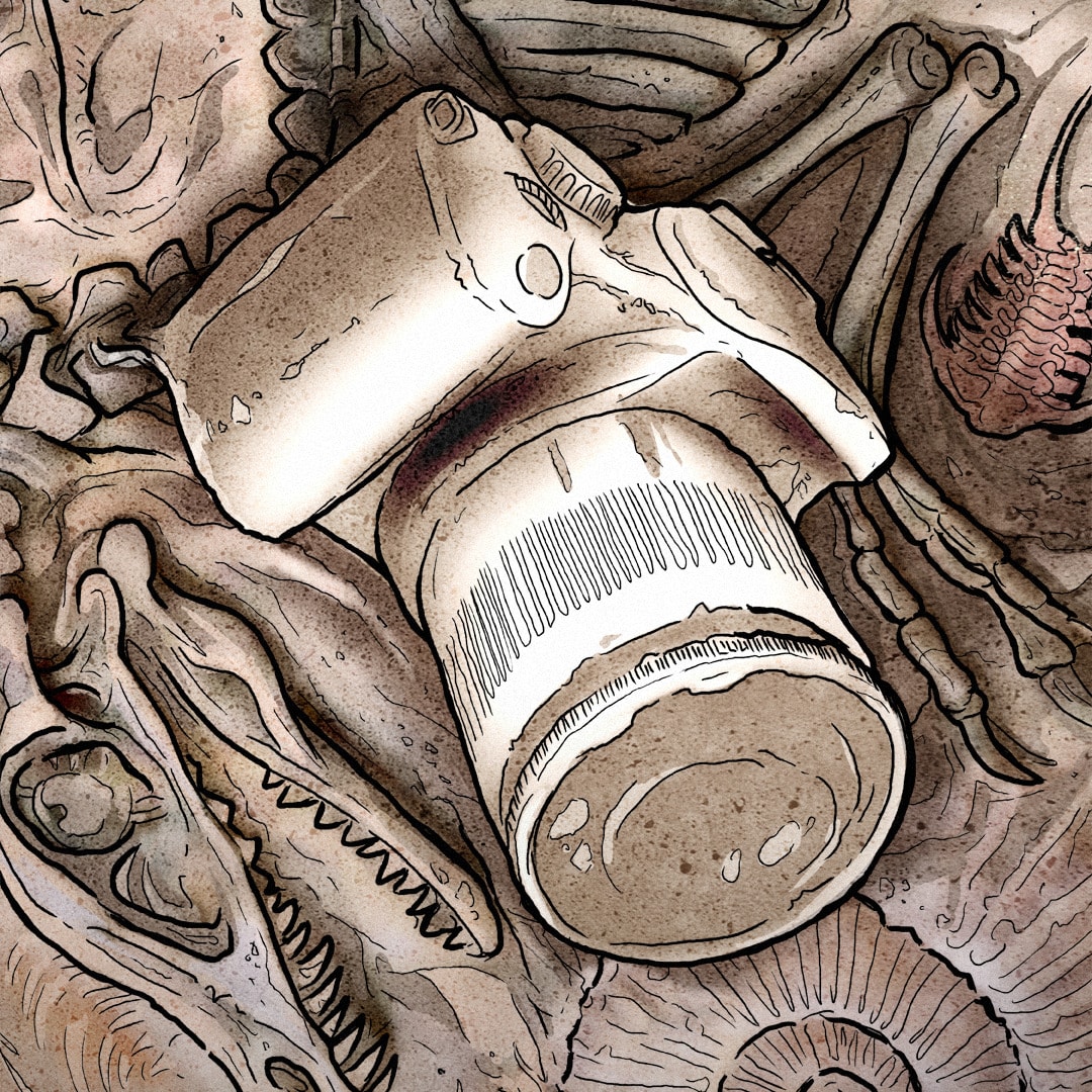 Pokryty piaskiem aparat pomiędzy skamielinami.