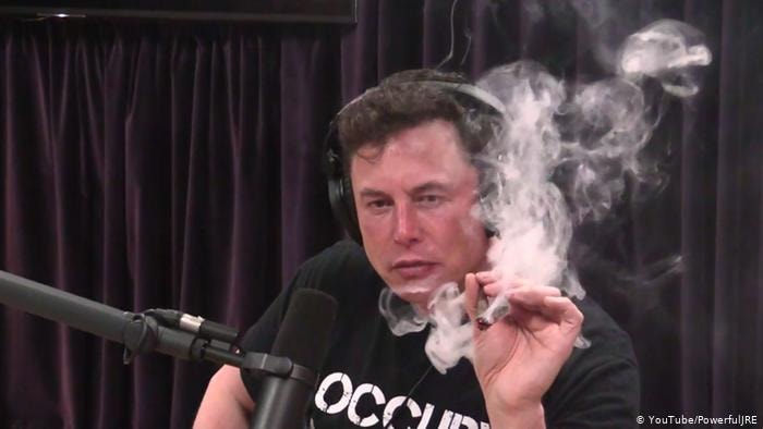 elon musk zioło i spacex