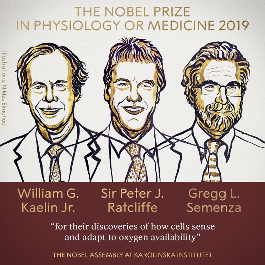 Nobel 2019