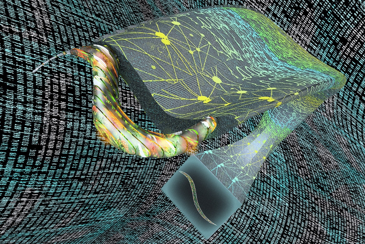 SI przekształca dwuwymiarowe zdjęcia w obrazy 3D