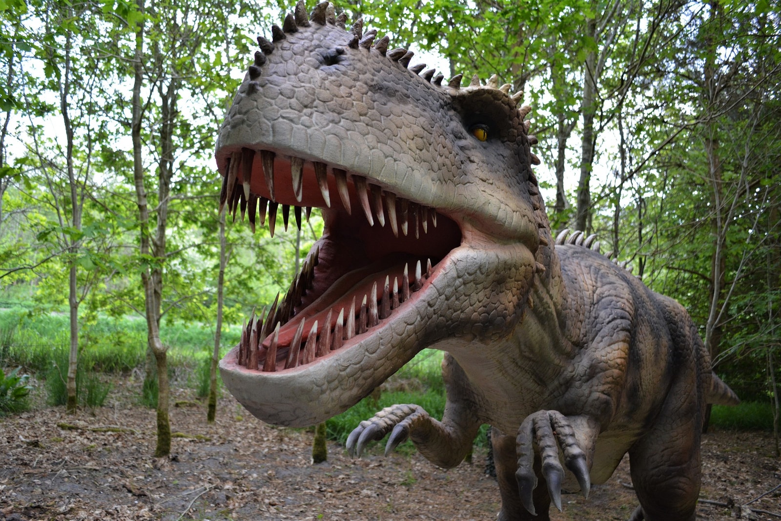 Dinozaury