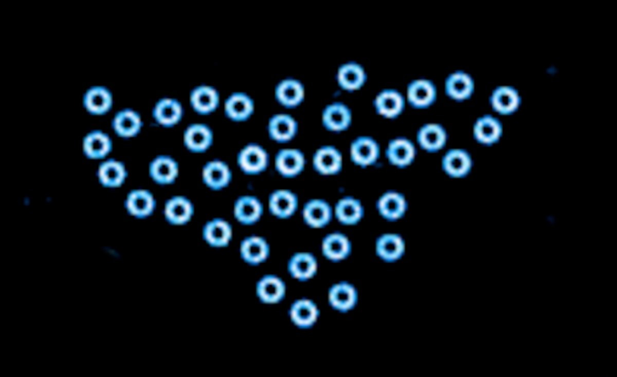 Aktywne koloidy mogą się grupować, tworząc inteligentne układy robotyczne /Fot. Kyle Bishop Lab
