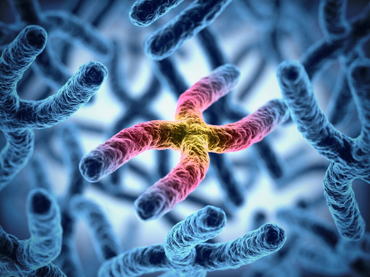 Masa chromosomów poznana
