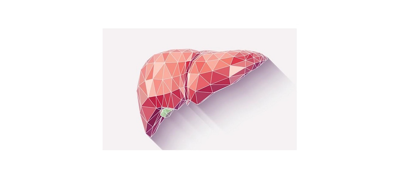 Wyhodowali wątrobę w laboratorium. Dostrzegli ich przedstawiciele NASA