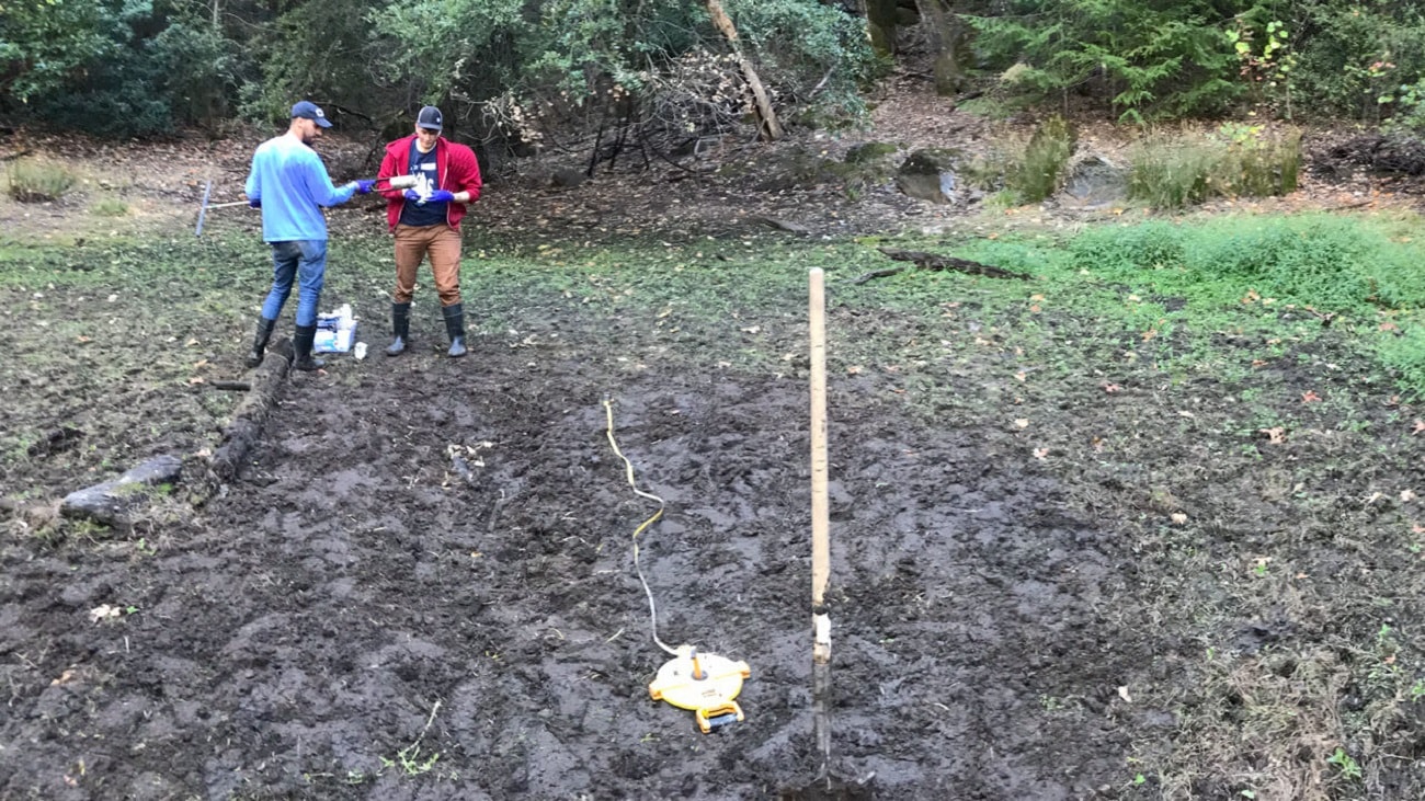 Fragmenty DNA niczym Borg ze Star Treka. Naukowcy znaleźli niezwykłe elementy