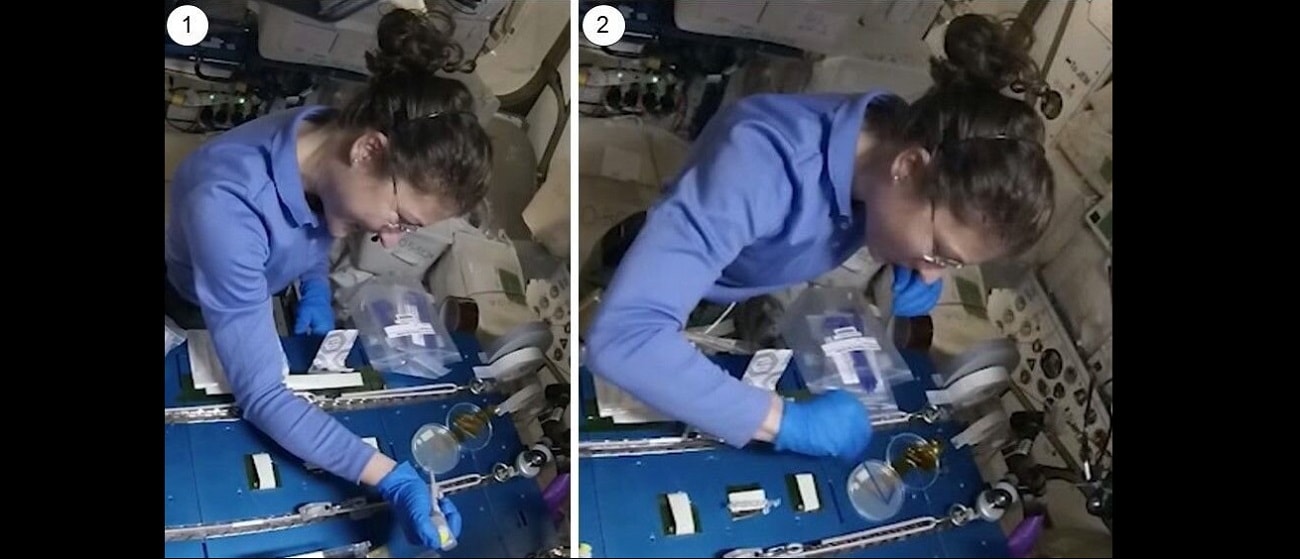 Edycja genomu w kosmosie to już rzeczywistość. Astronauci użyli metody CRISPR/Cas9