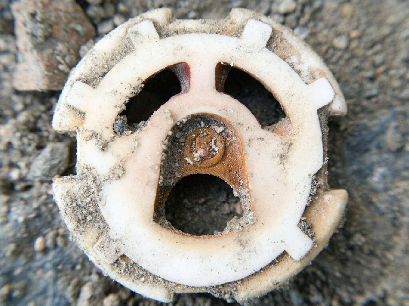 Dlaczego mamy tendencję do doszukiwania się twarzy w elementach otoczenia?