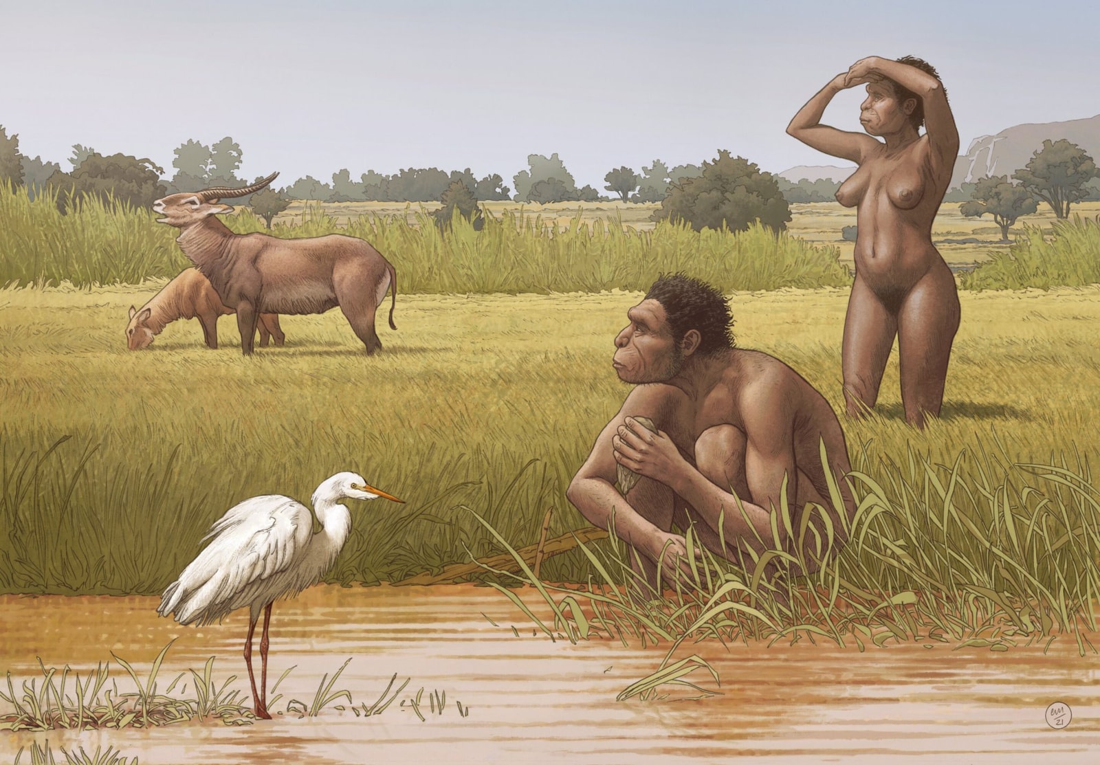 Homo bodoensis 
