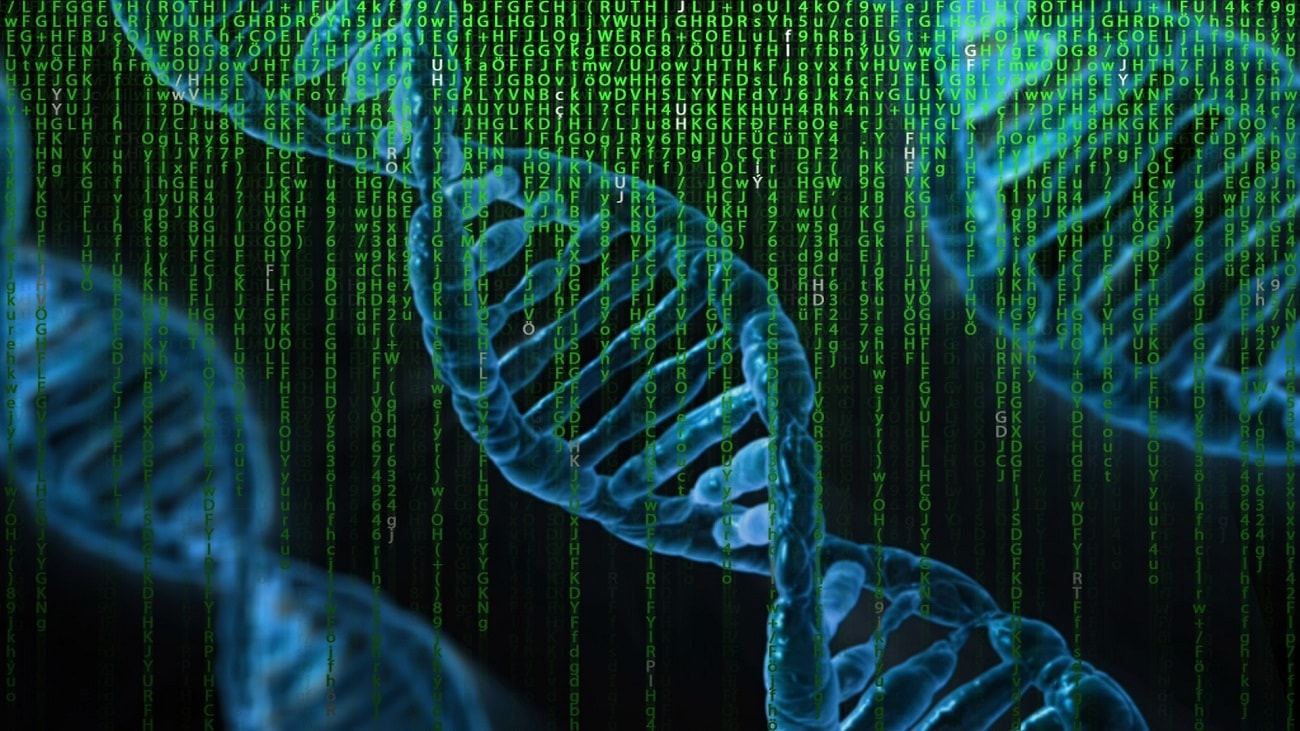 Decyzję podejmie za nas algorytm. Polak stworzył rozwiązanie inspirowane DNA