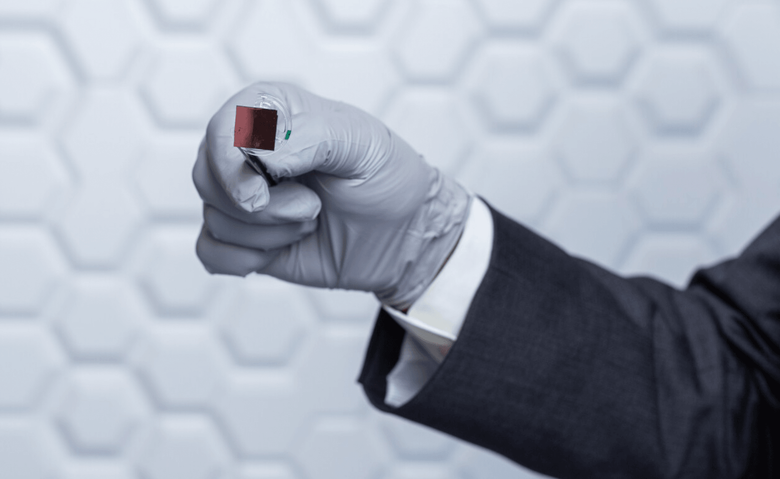 Ten nanochip pozwala na biologiczne cuda
