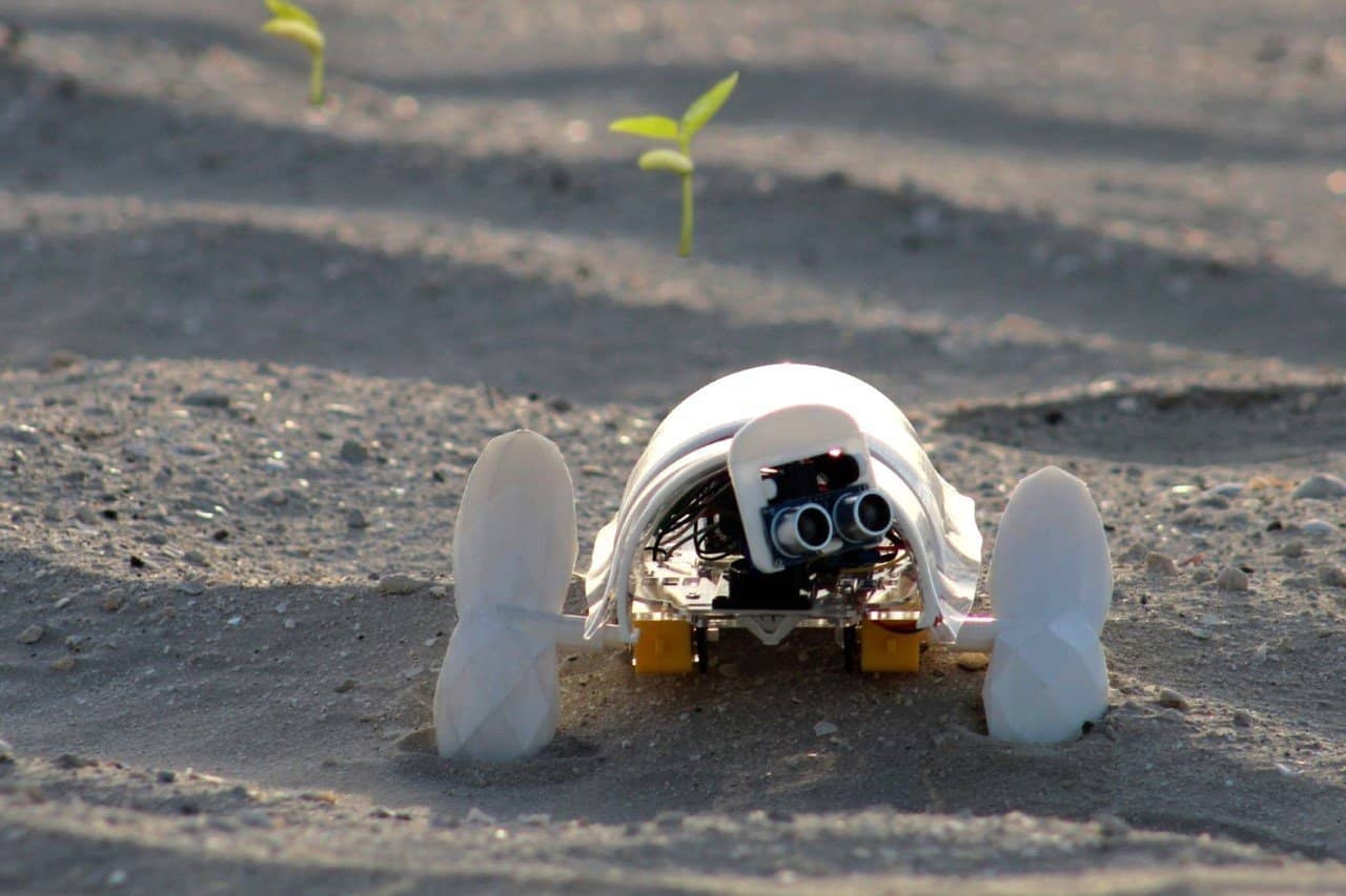 a'seedbot