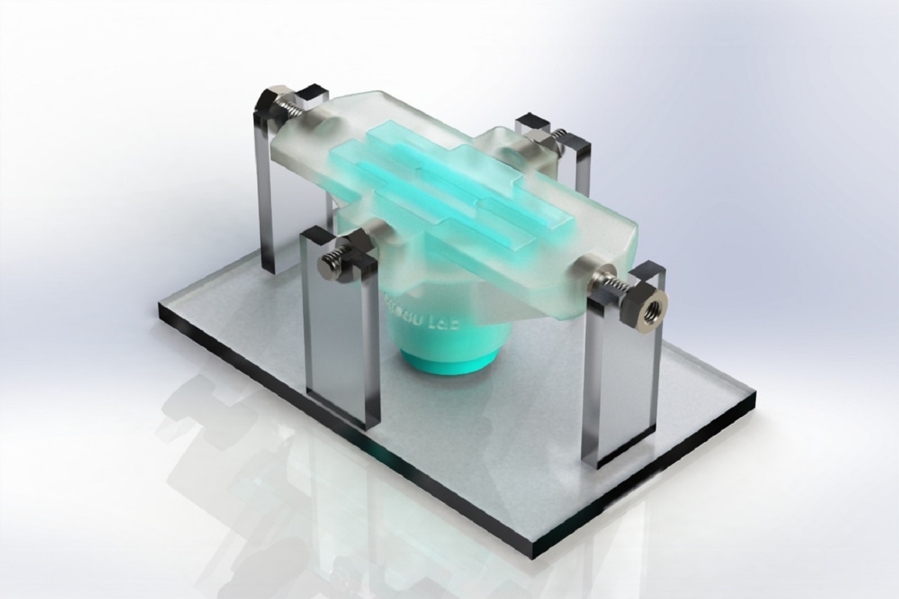 Hydrożelowy biomateriał do naprawy serca i strun głosowych. Jego twórcy zamierzają pójść o krok dalej