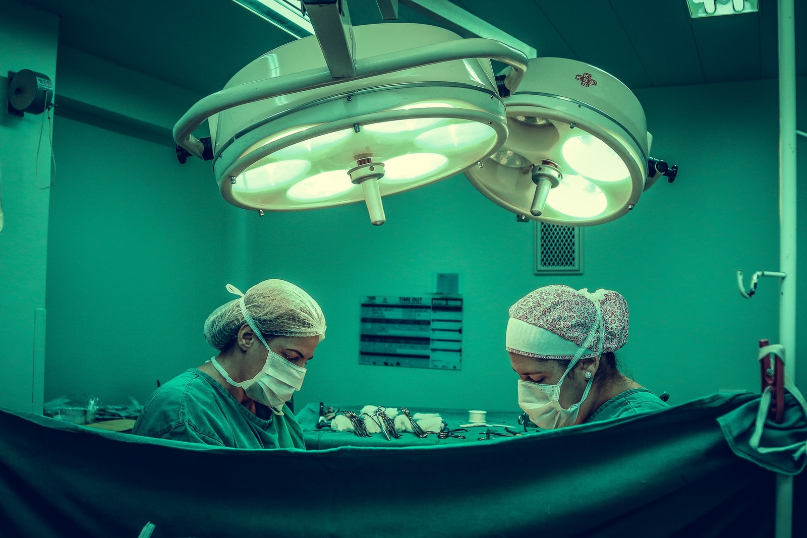przeszczep-serca-swini-ksenotransplantologia