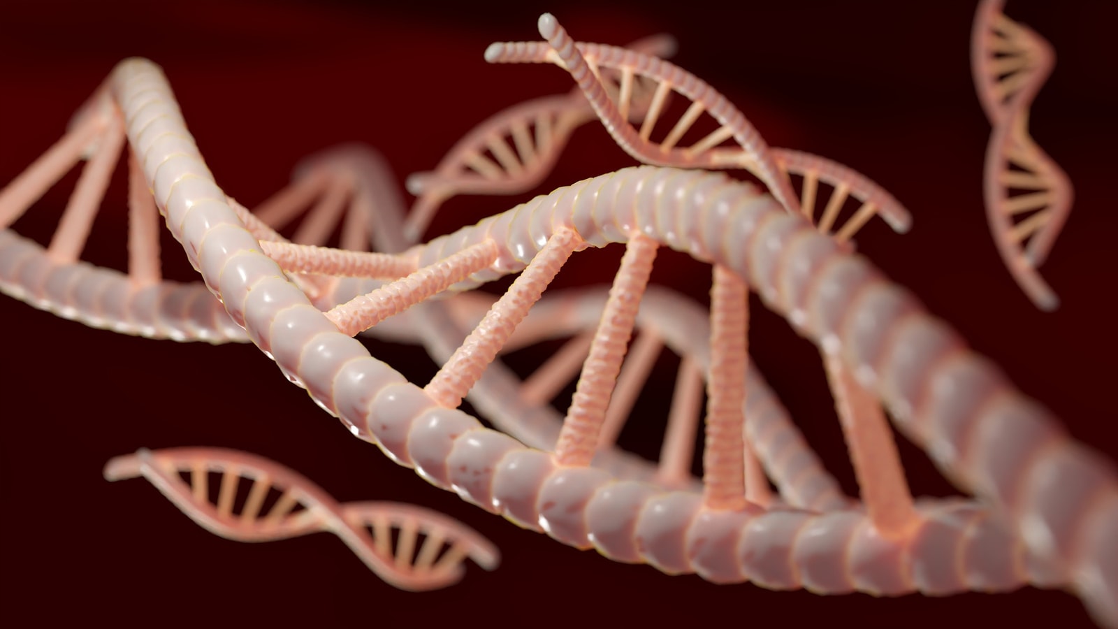 sekwencjonowanie-dna-rekord-guinessa