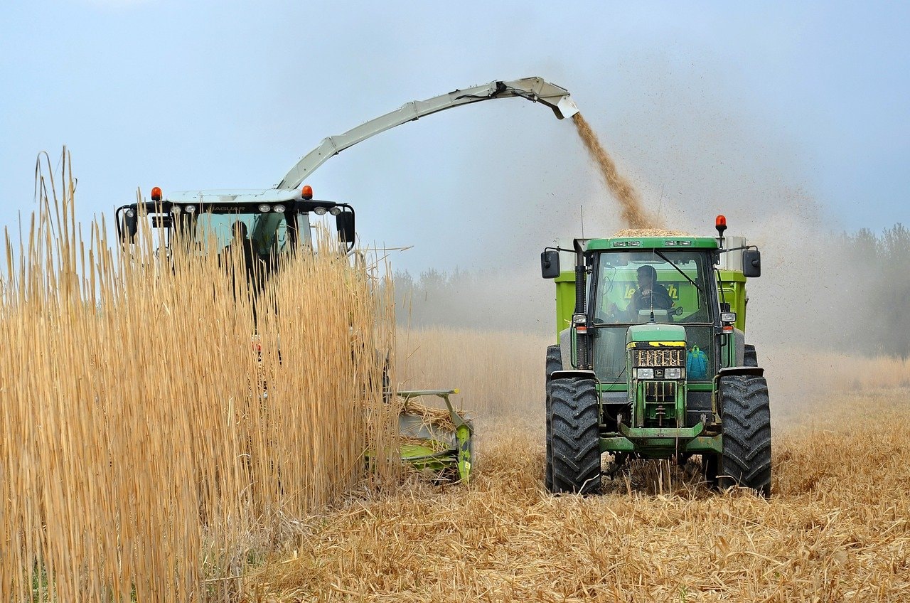 Biopaliwa nie tak ekologiczne, jak się wydawało. Potrzeba lepszych alternatyw