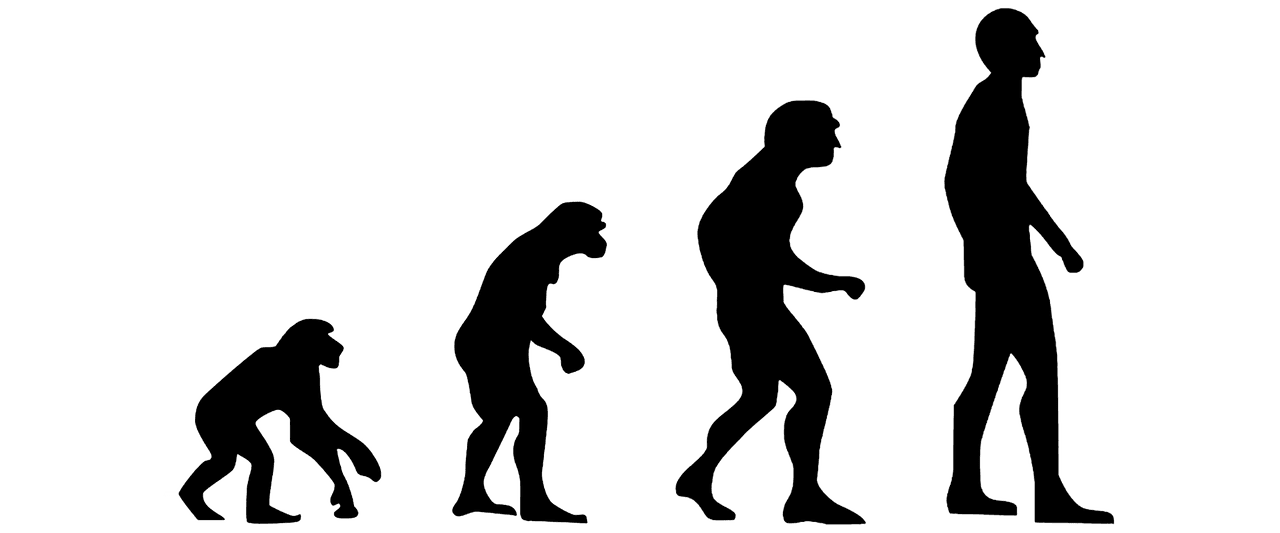 Drzewa filogenetyczne w obliczu ewolucji. Tak zmieniła się nauka dzięki analizom DNA