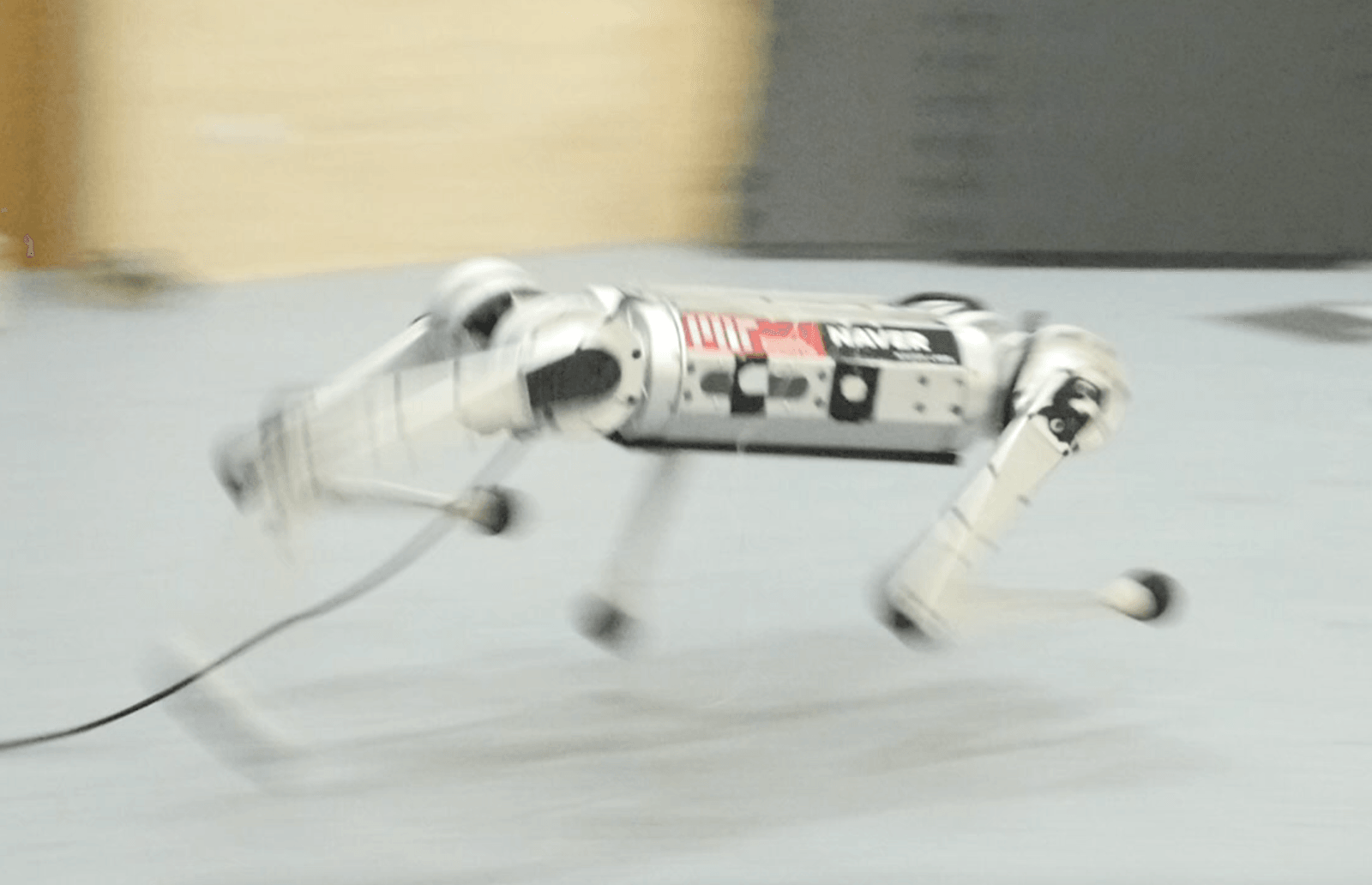 Robogepard MIT
