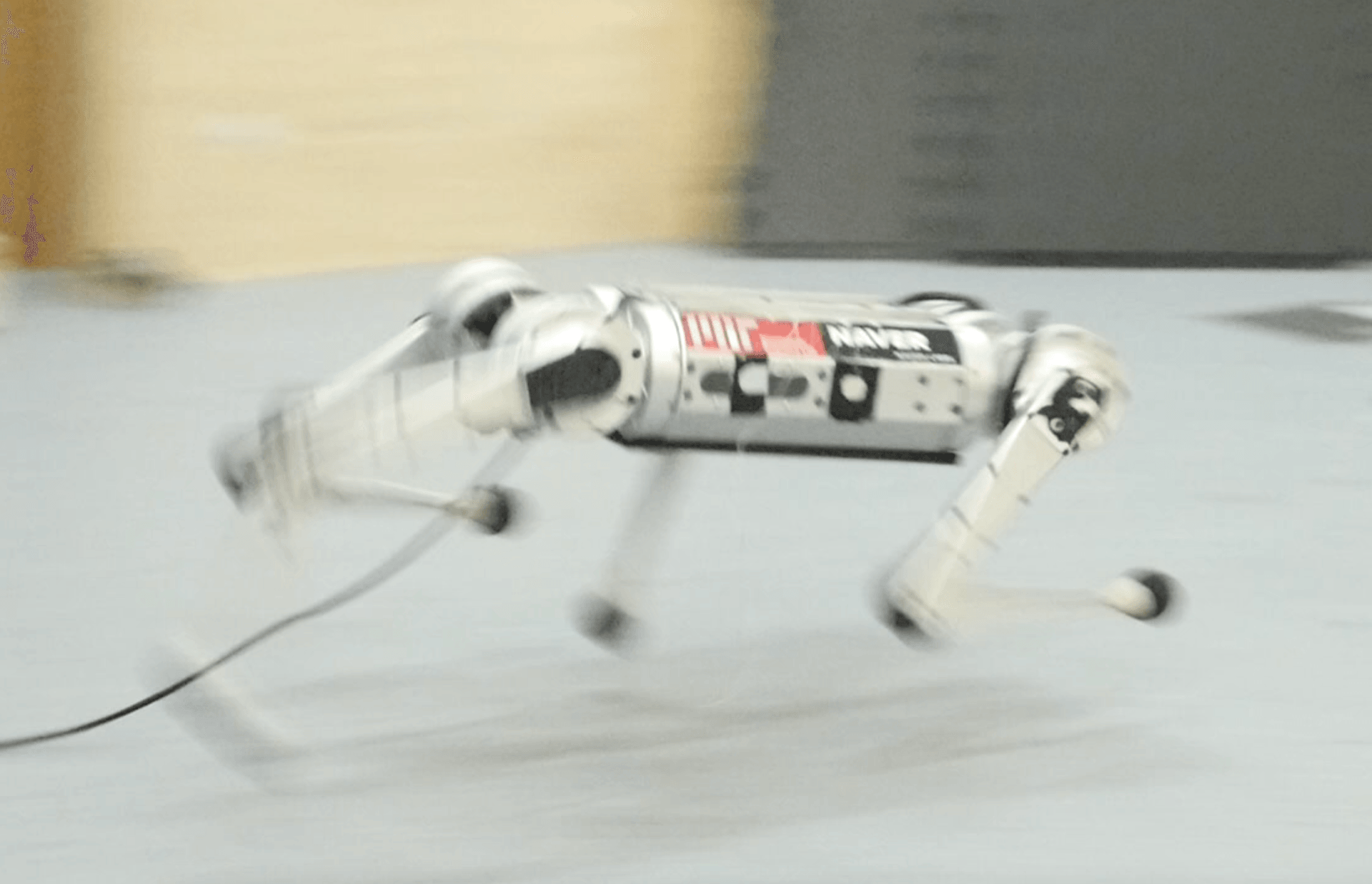 Robogepard MIT
