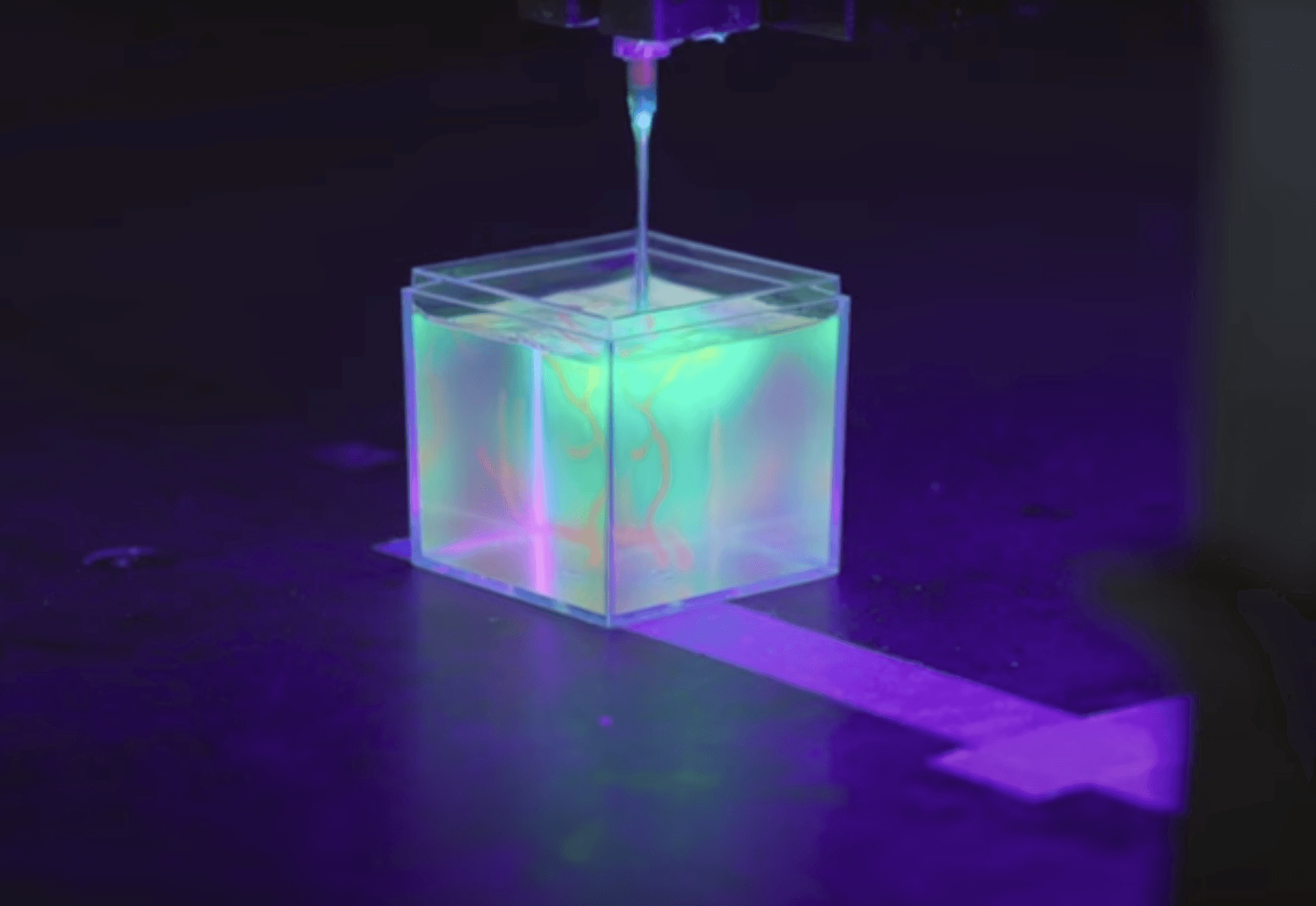 Czy w końcu uda się stworzyć serce w warunkach laboratoryjnych?
