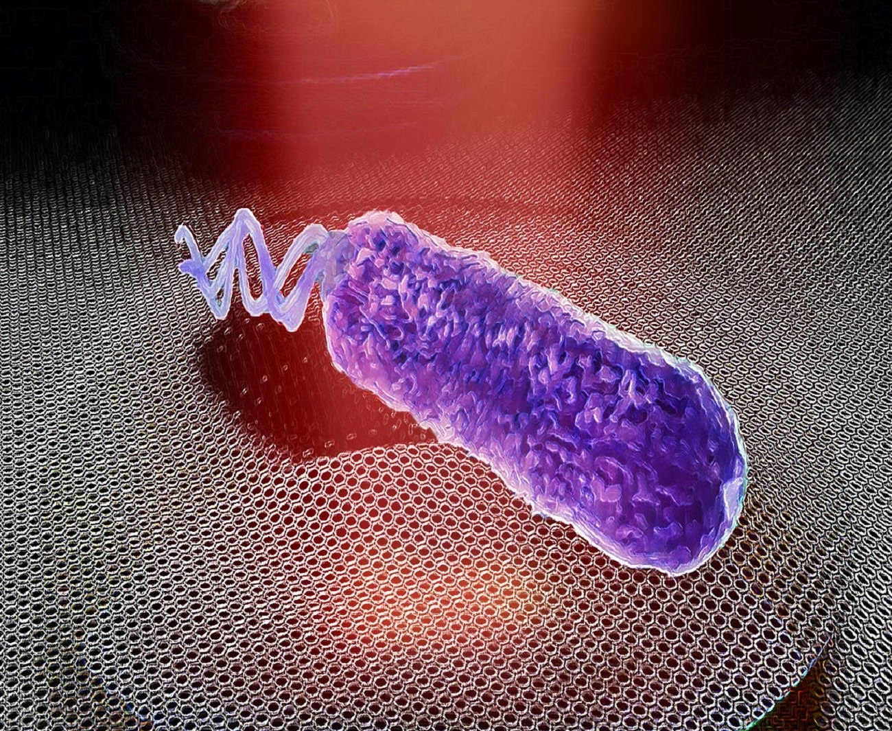 Bakterie wydają dźwięki, które udało się uwiecznić. Przekonajcie się sami