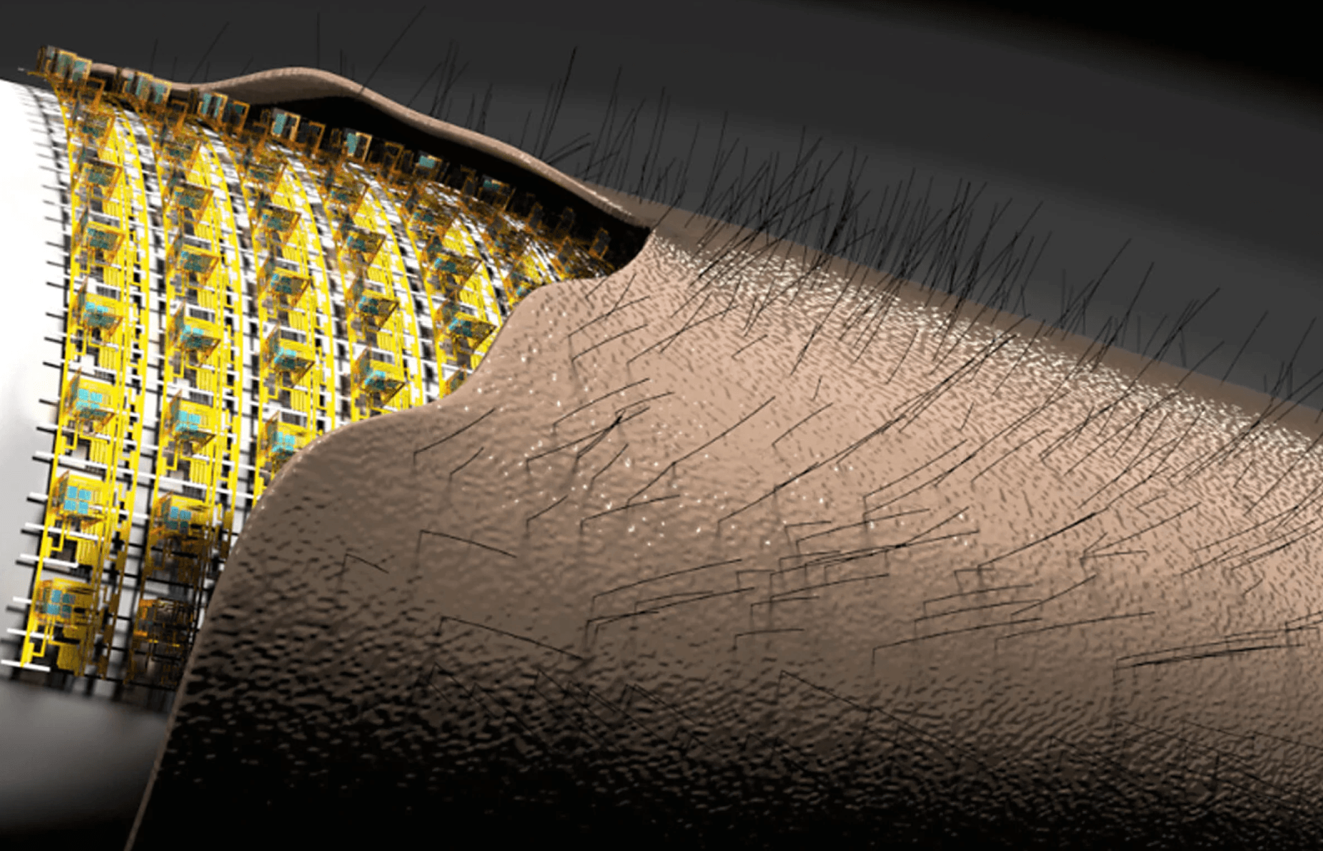 Takiej e-skóry jeszcze nie było
