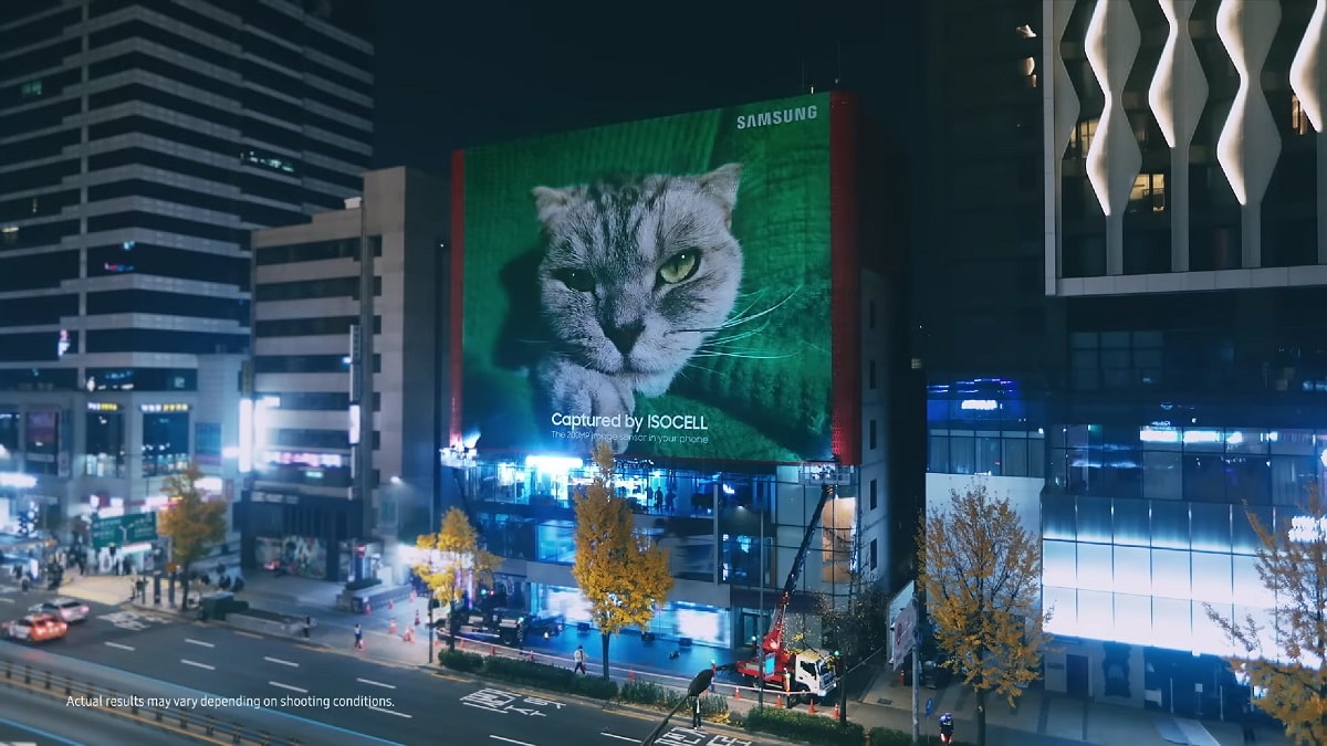 Jak duże może być zdjęcie kota? Gigantyczne, o ile zrobimy je aparatem 200 Mpix Samsunga